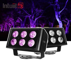 China IP65 Waterproof 6x5W RGBW 4 In 1 LED Flood Light DMX Control Plane Spot Light Background Stain DJ Disco Stage Lighting on sale