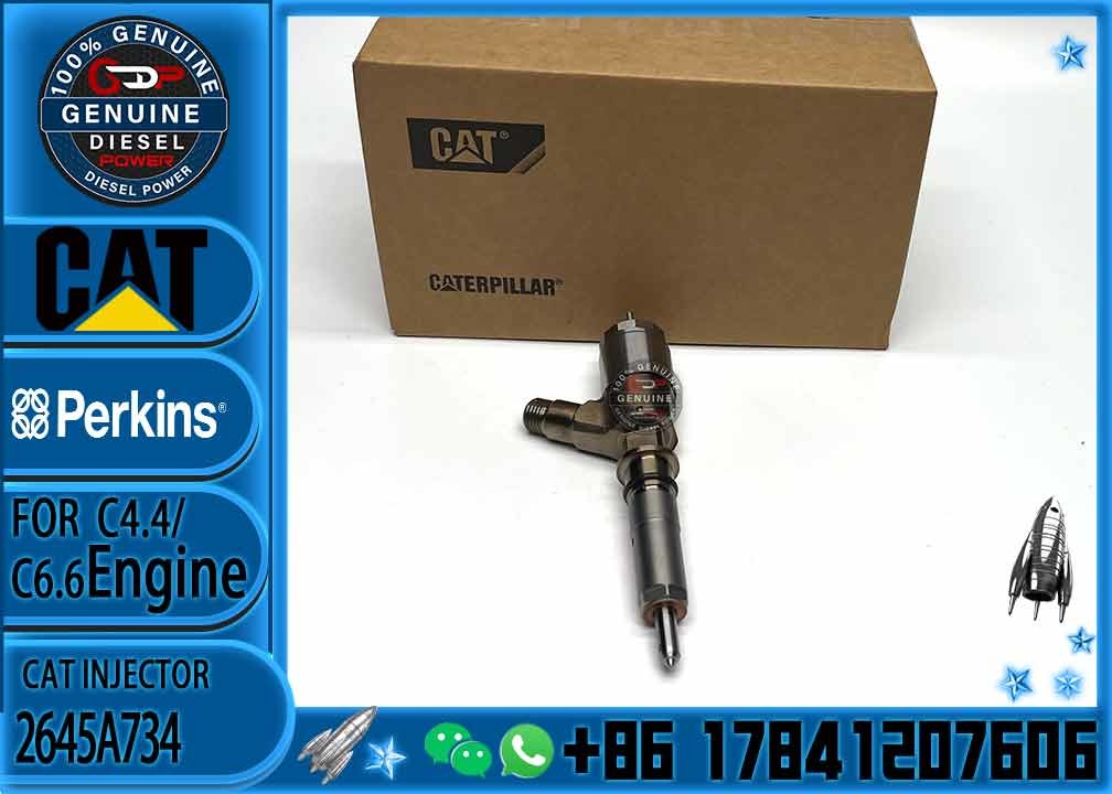 common rail injector 2645A746 2645A749 2645A747 10R-7671 10R-7672 2645A718 10R-7673 10R-7676 2645A734