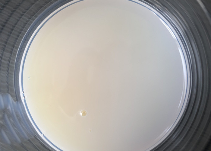 Substitute To Joncryl 89 Styrene Acrylic Copolymer Emulsion For Overprint Varnishes