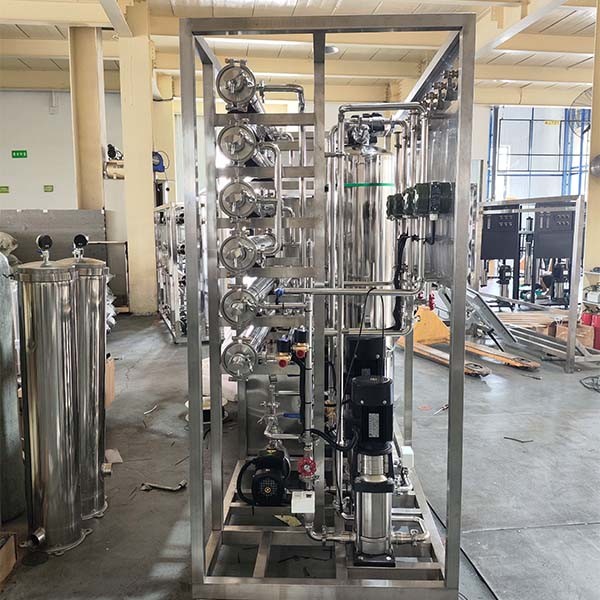 0.5 tons two-stage reverse osmosis plant for Purifying Mineral Water