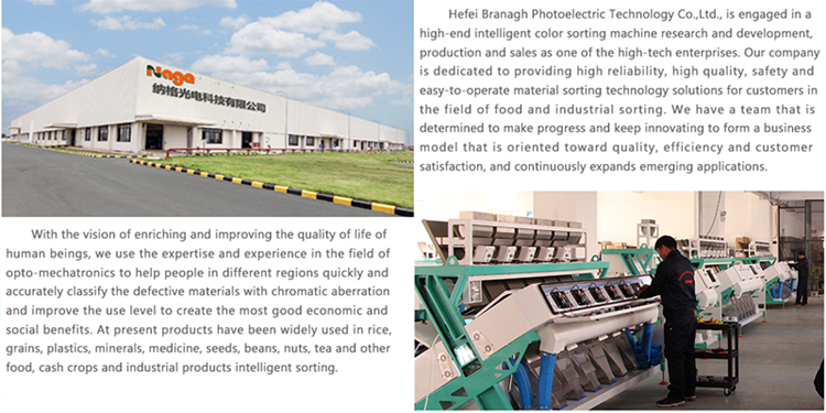 Professional Seeds Automatic Colour Sorting Machine With 1 Year Warranty