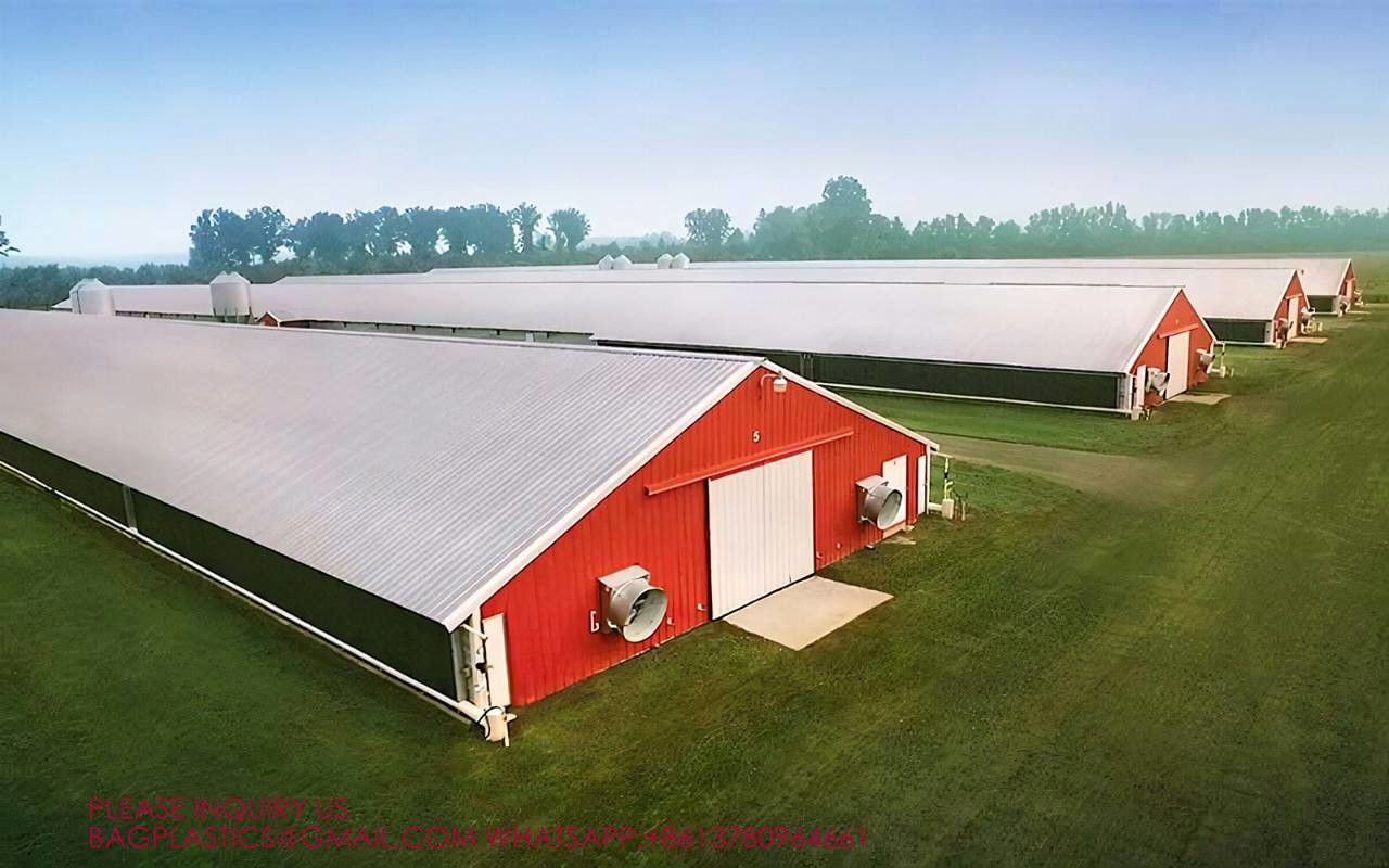 Steel Structure Building Prefab Poultry Chicken House Poultry Shed Chicken Farm Building House For 10000 Chickens