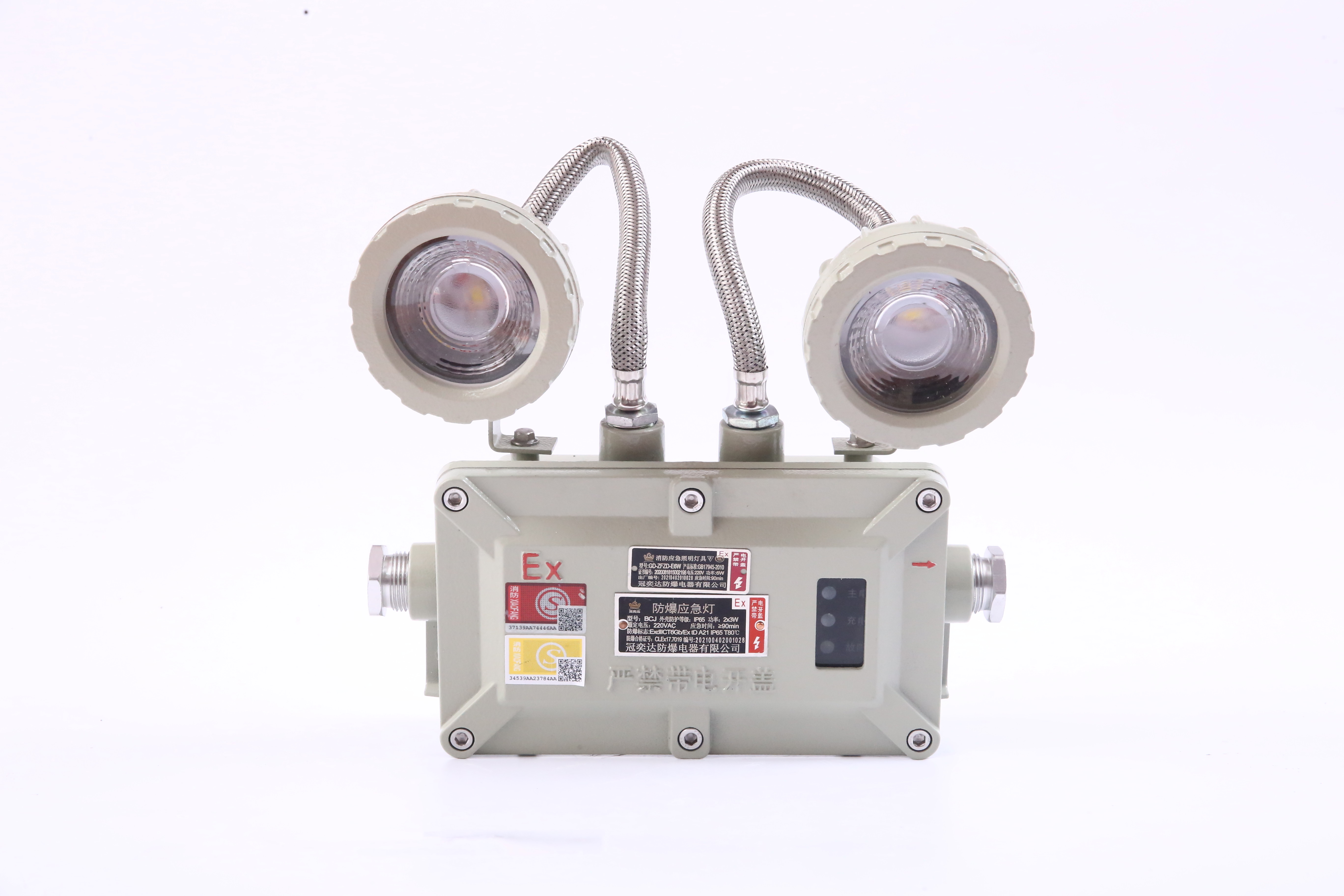 Twin Spot LED Flameproof Light Wall Mounted
