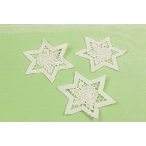 70mm Width Guipure Lace Applique ODM Available Botanical Style