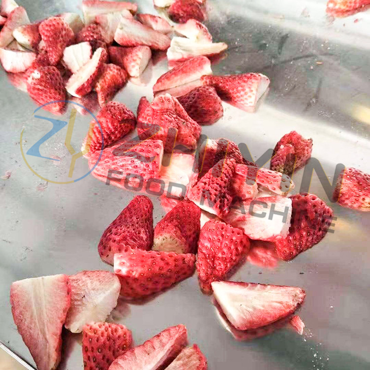 Frozen Dried Jujube Processing Equipment Freeze Drying Machine