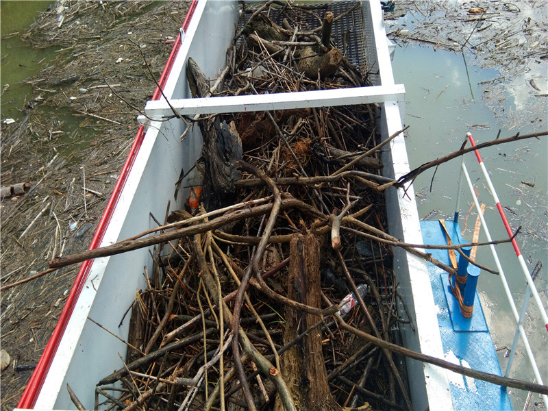 Water Reed Hyacinth 5000m2 Aquatic Weed Harvester Boat