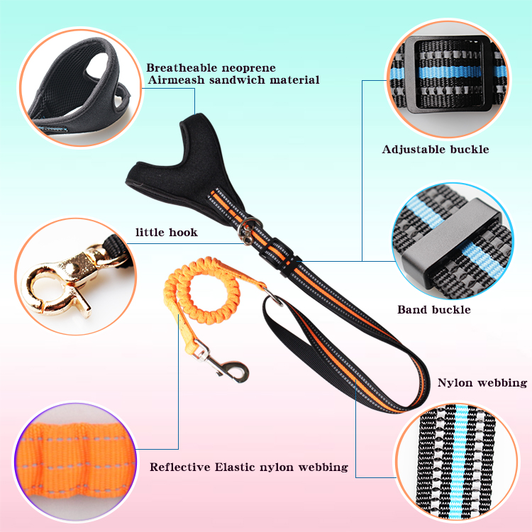 Fashion Custom Bungee Elastic Extended Retractable Nylon Braided Rope Dog Leash