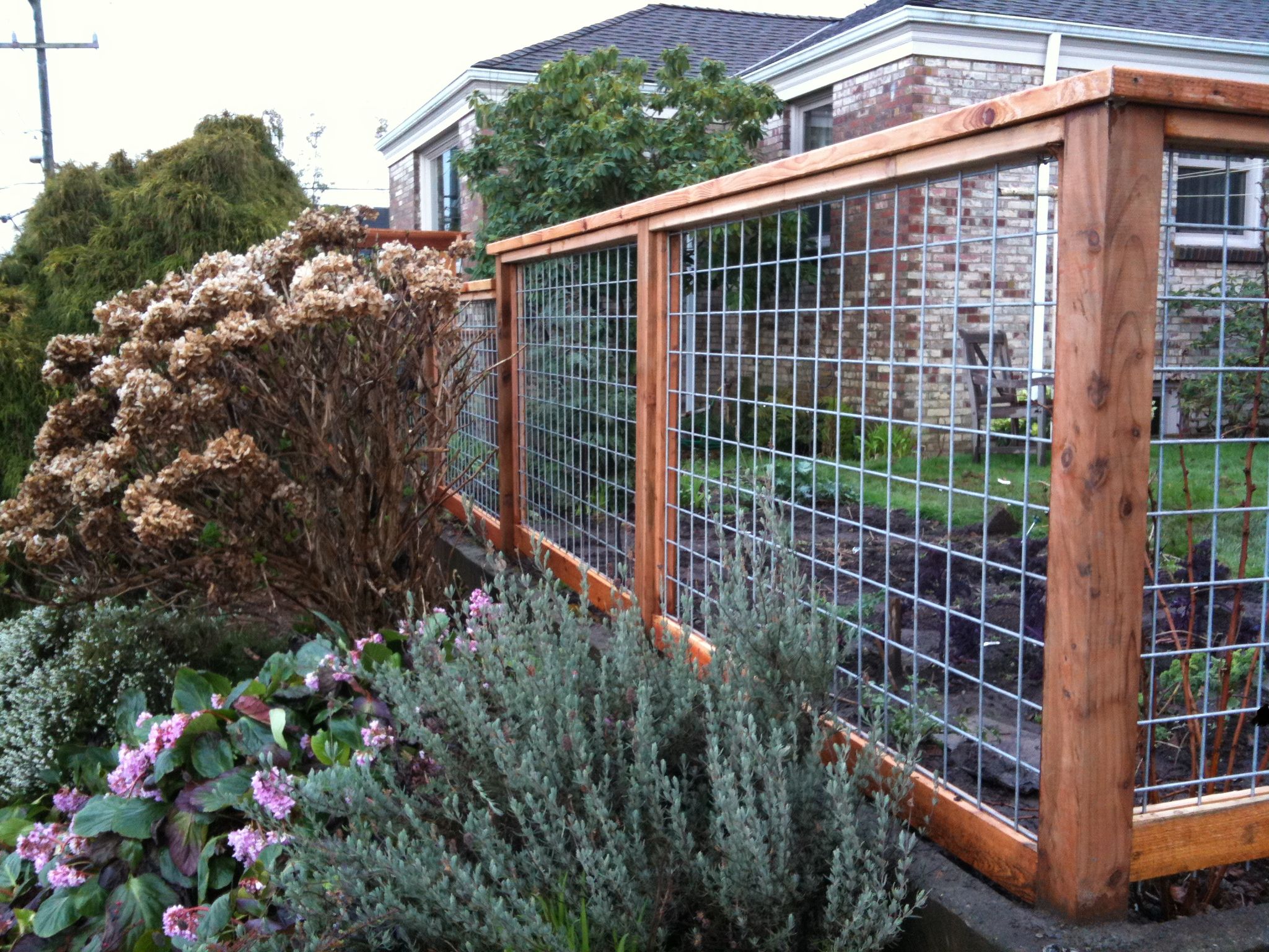 Galvanized Steel Wire Welded Mesh 10 Gauge 2 inch by 2 inch with Welded Technique