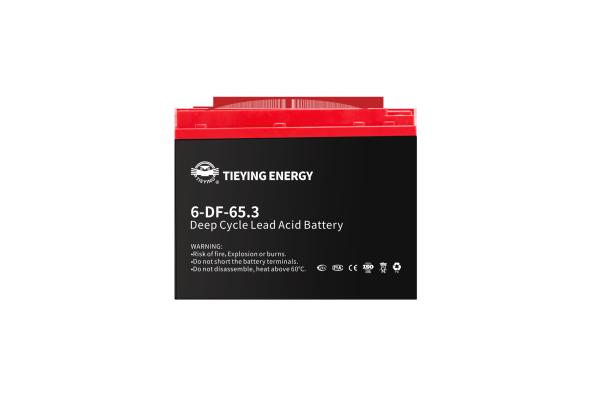 Solar Energy Storage 65Ah Rechargeable Deep Cycle Lead Acid Battery 6-DF-65 222