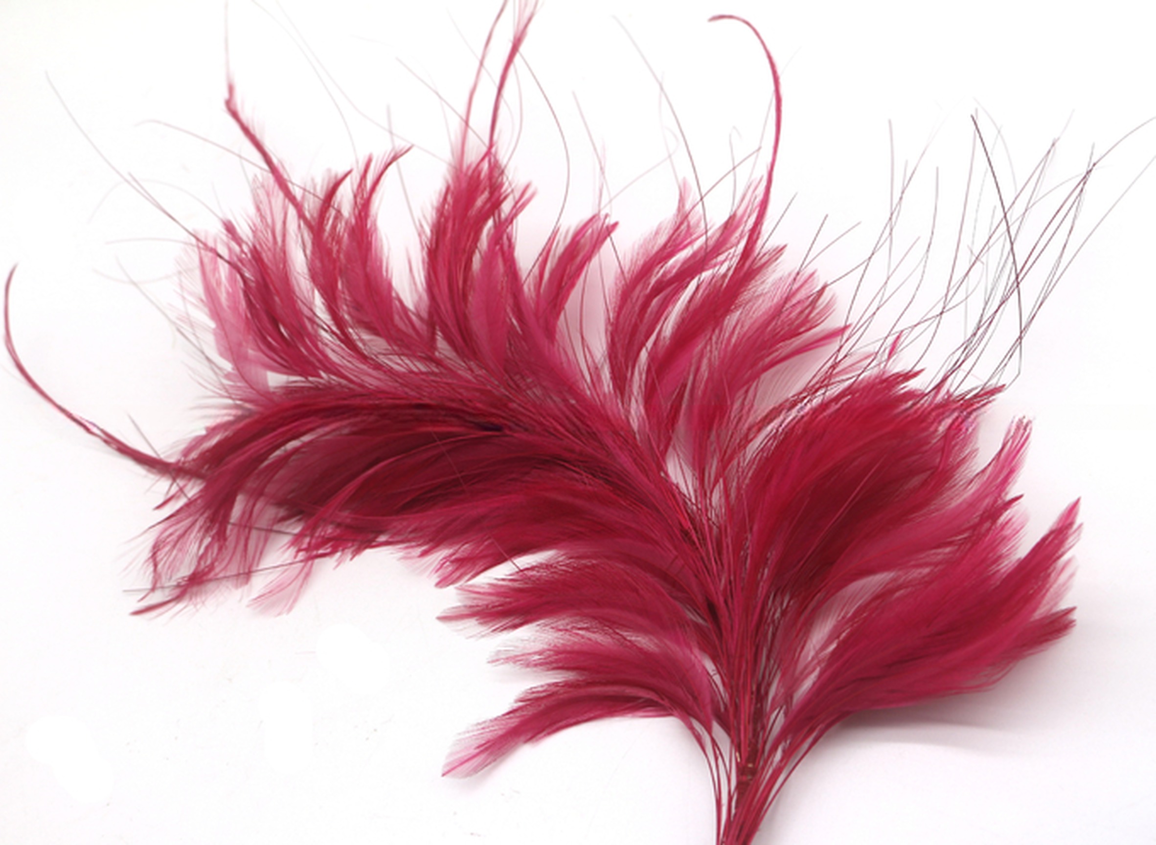 15x30CM Burnt Coque And Hackle Feather Mounts Flower Feather Headwear