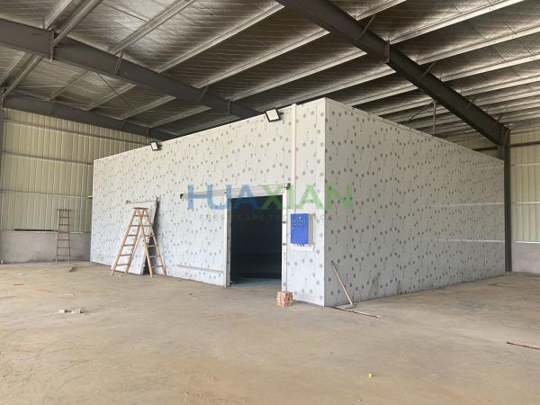 Vegetable/Meat/Fish/Shrimp/Fruit Cool Cold Storage Room with Outdoor Condenser