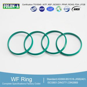  Extreme Environments -18C-175C Operating Hydraulic Oil Seals Manufactures