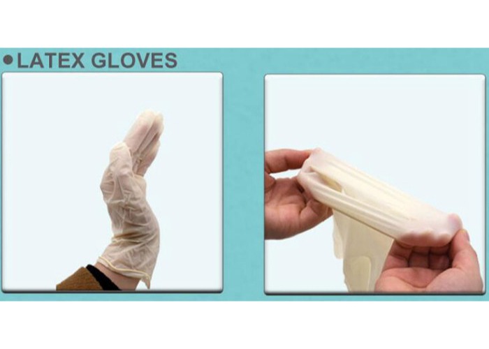 Disposable Latex Exam Gloves
