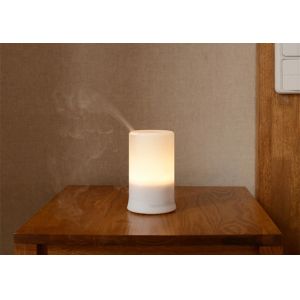 Home Electric Aroma Diffuser Machine Aroma Mist Diffuser 100ml