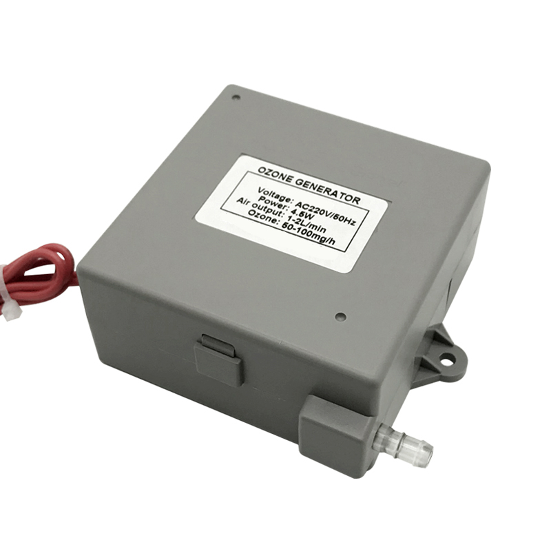 50-100 mg/hr Ozone Output Ozone Generator for Water Purification in Washing Machines