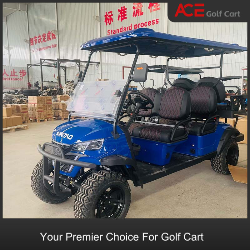 Luxury EV Golf Cart Blue Color Custom 6 Seater Golf Cart