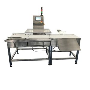 0.2g Scale Interval In Line Checkweigher With Rejector