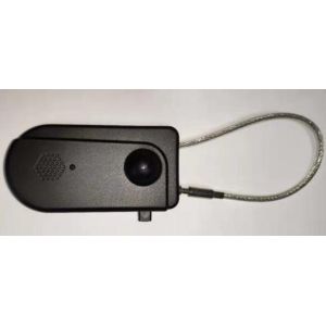  2A RFID EAS Alarming Tag System 120mm Small Size EAS Retail Security System , EAS plus RFID dual frequency 2A alarming tag Manufactures