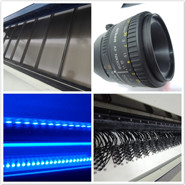 WENYAO Beans Sorting Machine , Lentil Coffee Color Sorter ISO9001