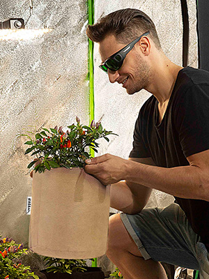 grow bag