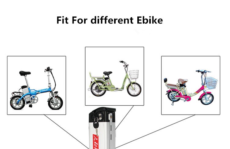 36V 48V Silverfish Electric Bike Lithium Battery Distance Per Charge 30-60KM