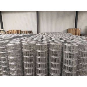 Guaranteed Quality Proper Price Welded Wire Mesh Galvanized Electro Galvanized