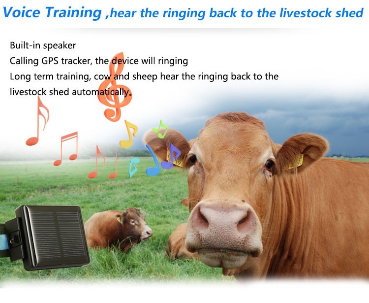 Solar Powered GPS Real Time Wireless Cattle Tracker Anti - Remove Alarm