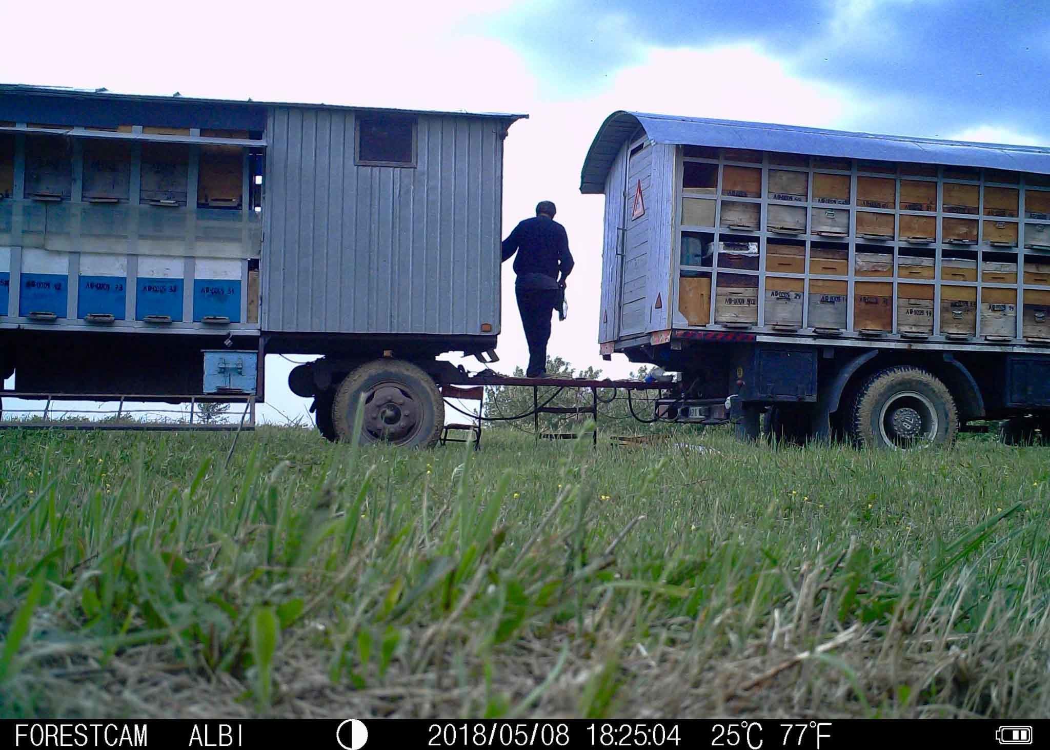 Easy Setup Time Lapse Trail Camera 0.6s Trigger Speed With Blackout IR LED