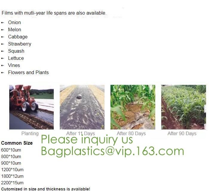 Eco friendly Compostable Biodegradable commercial bags,100% Environment Friendly Compostable Cornstarch Garbage Bags pac