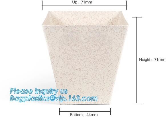 Meal Prep Containers Free Sample Bento Lunch Box Biodegradable Food Container Plastic Wheat Straw Lunch Box bagplastics