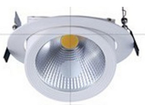 China COB LED downlight, trunk light with 20w 2000lm IP40 and 24 degree beam angle on sale China COB LED downlight, trunk light with 20w 2000lm IP40 and 24 degree beam angle on sale