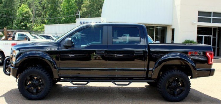 OEM High Quality Logo custom Wheel Arch Flares For Ford 150