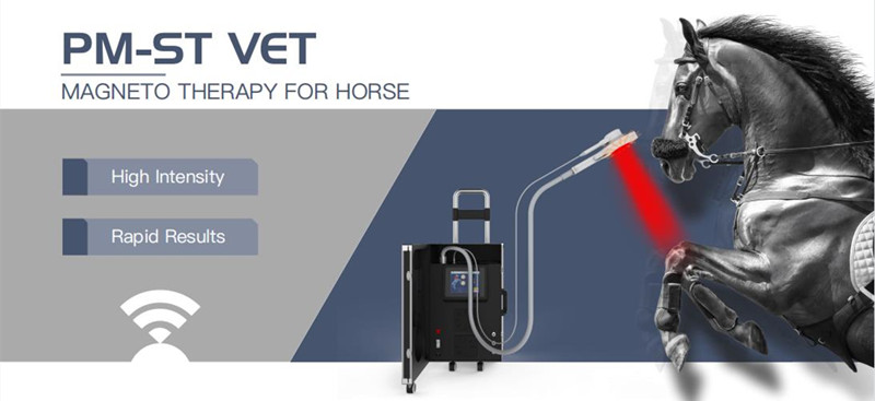 EMTT Shockwave Therapy Machine 4 Tesla Veterinary Device For Horse Muscle Stimulation