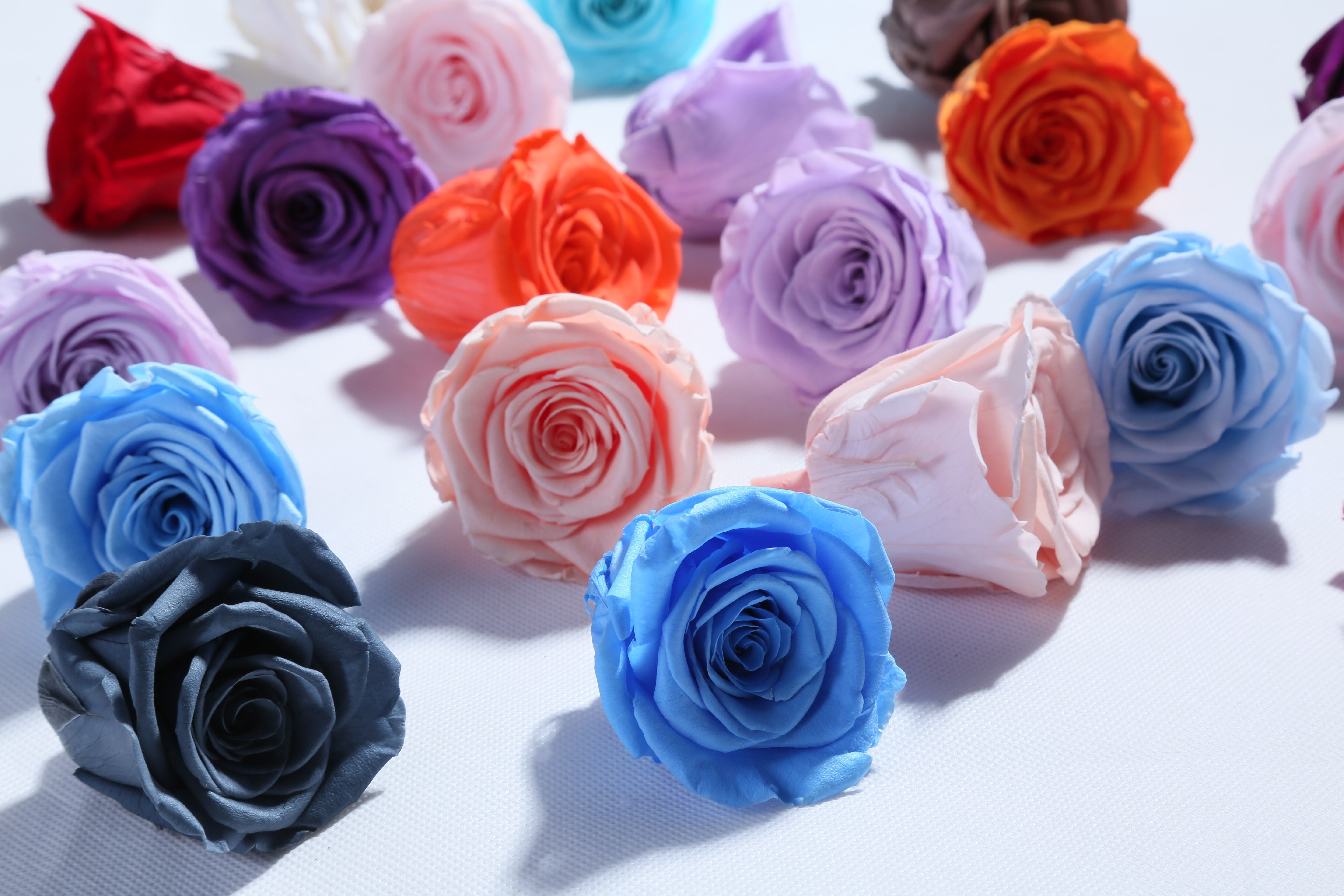Factory wholesale real touch high quality multi color natural preserved roses at cheap price Christmas gift