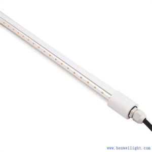 Egg Laying Lights For Chickens With Triac Dimmable 220V AC Or 110V AC 50000