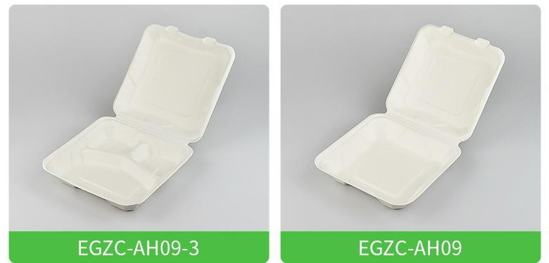 OEM ODM Biodegradable Takeaway Boxes High Temp Resistance 750ml Food Containers