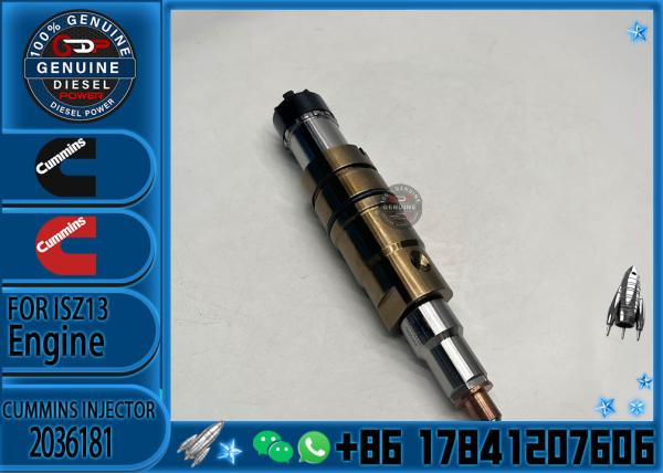Diesel XPI diesel fuel injectors and spare parts for Sca-nia truck injector