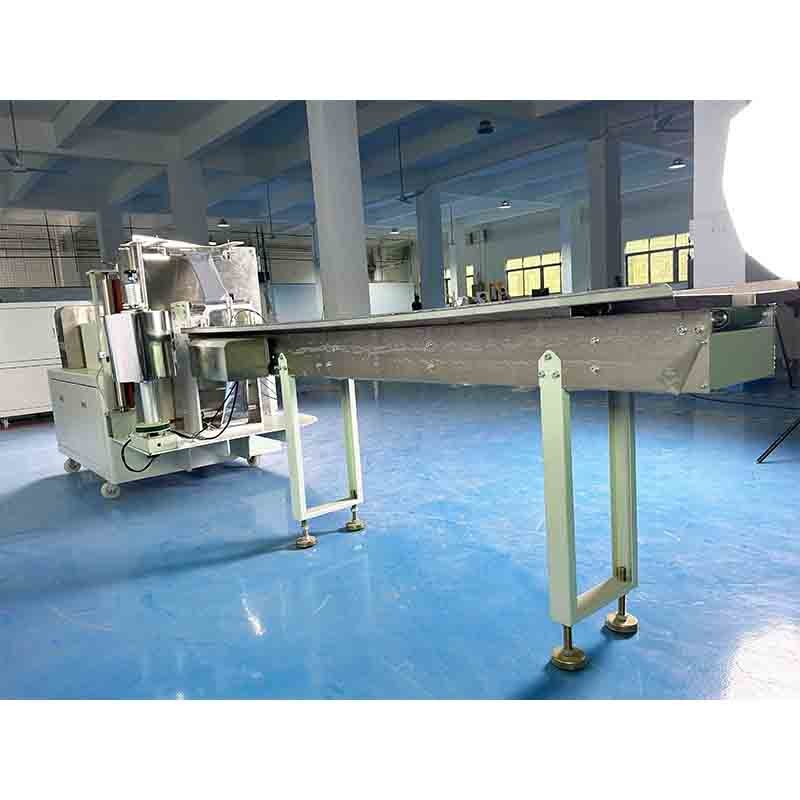Stabilized Side Sealing Packing Machine Multifunctional Pregnancy Test Paper