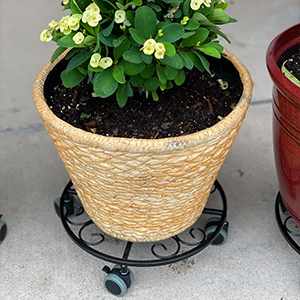 ISO9001 2008 Certified Metal Plant Caddy with Caster 11.8 Inches Plant Stand on Wheels