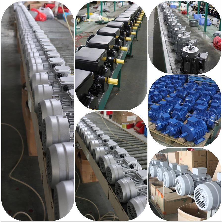 Fully Enclosed Hollow Shaft Induction Motor 5.5KW 7.5HP For Pressure Washer