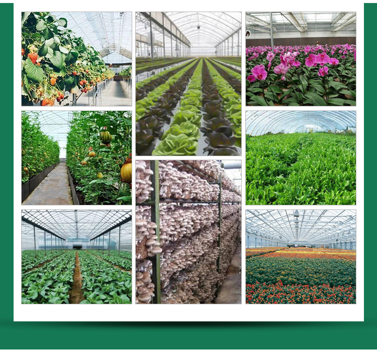 Greenhouse Grow Tent for Single-Span Agricultural Greenhouses and Indoor Growing