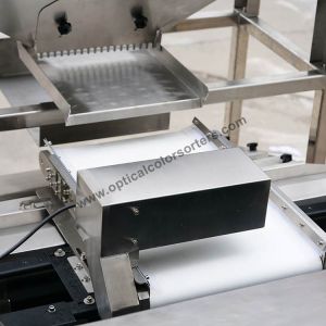 Stainless Steel Nut Sorting Machine High Accuracy With Remote Control System