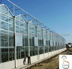 PE Double Film Tunnel Inflatable Greenhouse for All-Weather Protection