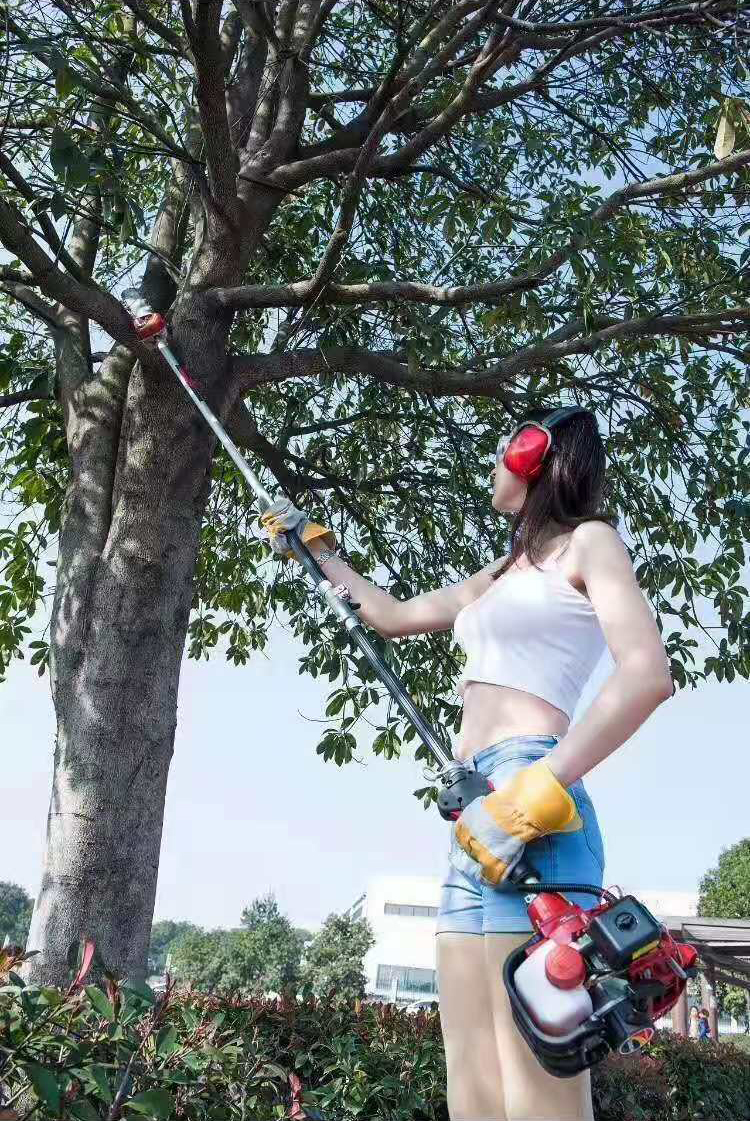 4 Stroke High Branch Chainsaw High Pruning Pole Saws 22CC