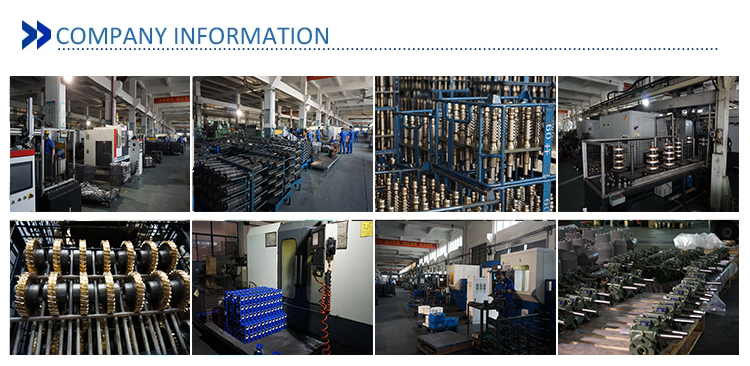 Different Ration Worm Transmission Gearbox Reducer