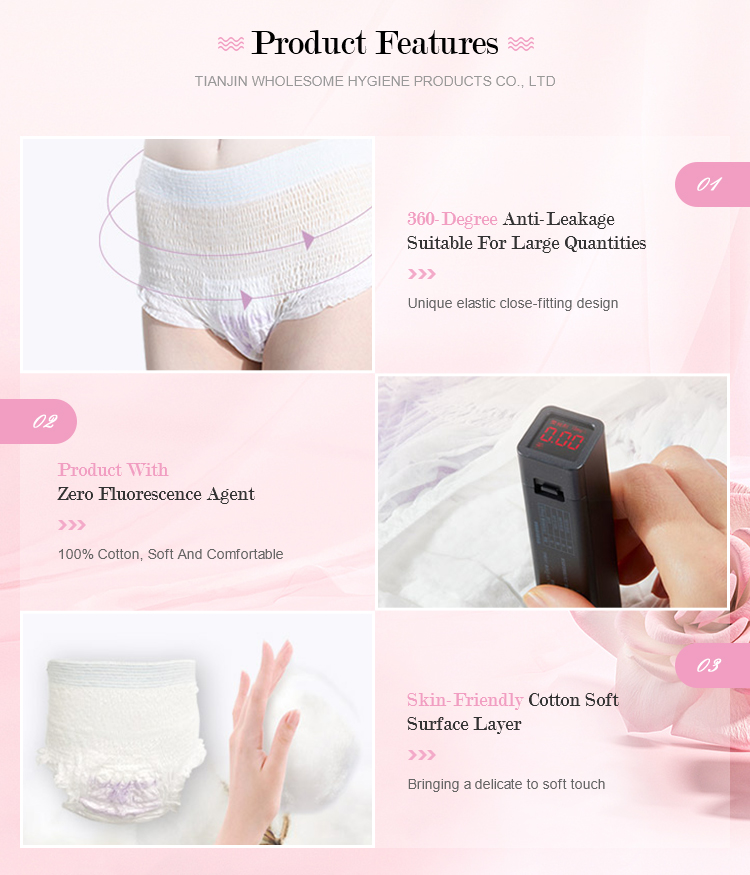 Disposable Menstrual Underwear for Women 2023 Wholesome Absorbent Underwear S.M.L