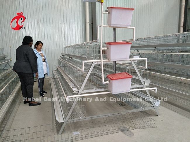 Easily Assemble 2.4mm Chicken Battery Cage Galvanized A Frame Emily