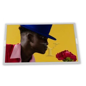  Selected 15.6-Inch G Series G156HAN02.5 LCD Modules High Quality Screen in Stock with Quality Assurance Manufactures