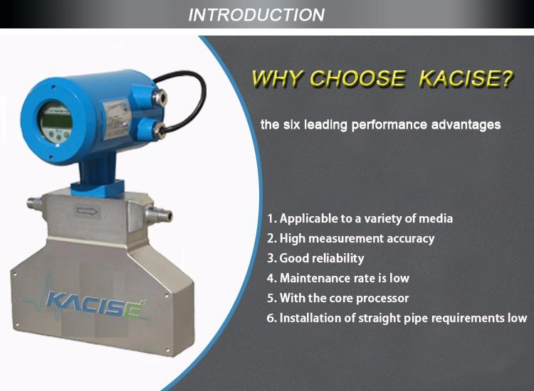 KFM101 Industrial water coriolis mass flow meter