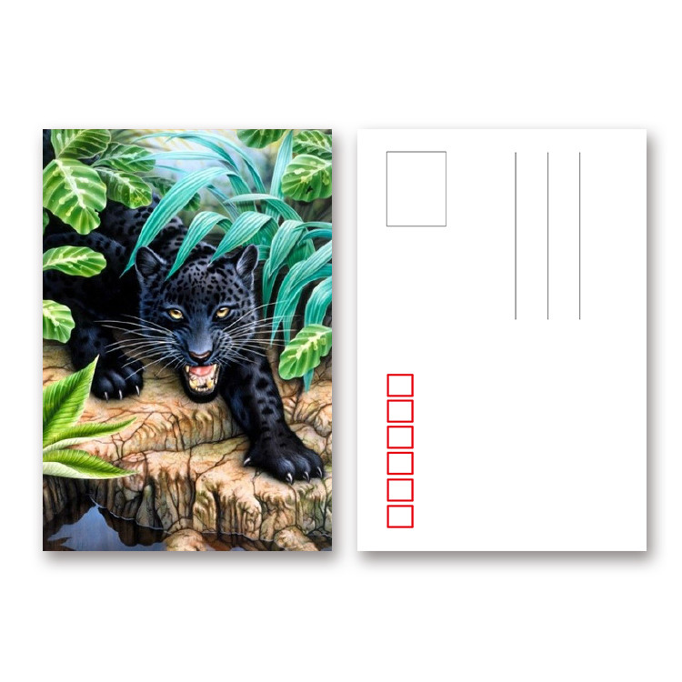 PET/ PP Lenticular Postcard Printin 3D / Flip Effect Dinosaur Image Card